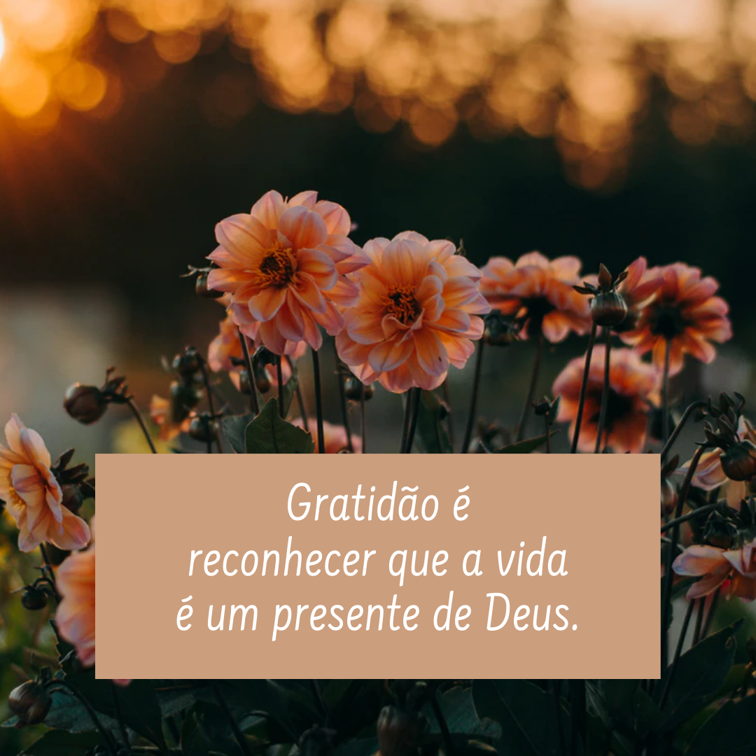 60 Mensagens De Gratidão A Deus Para Agradecer Pela Vida